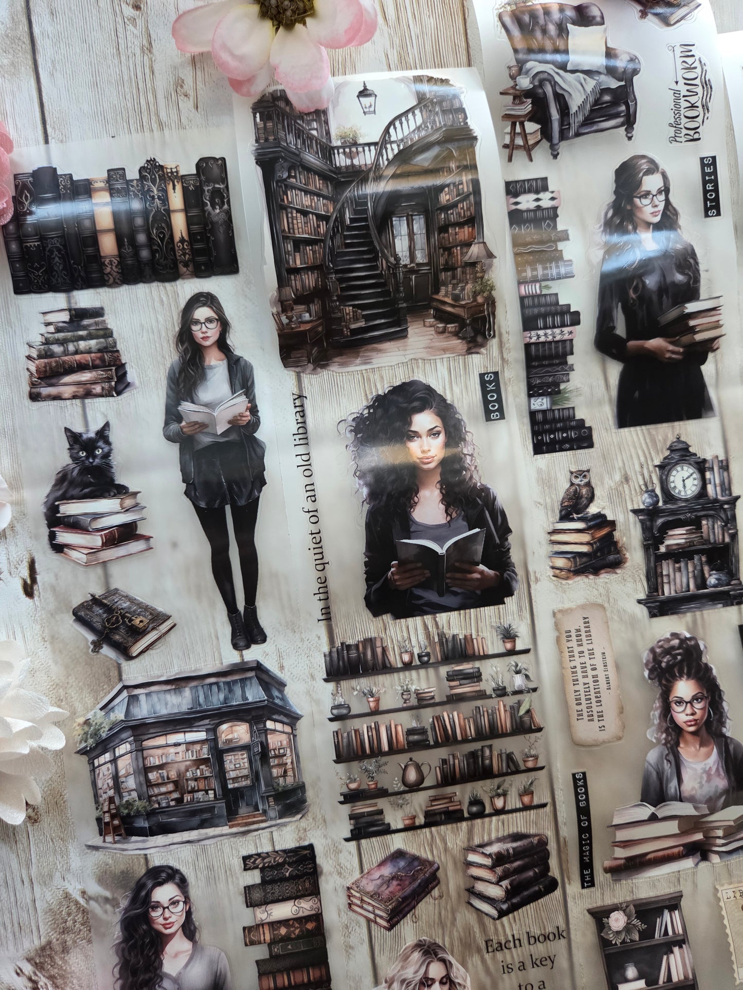 Old Library - PET Tape Sample Loop (Reggie)