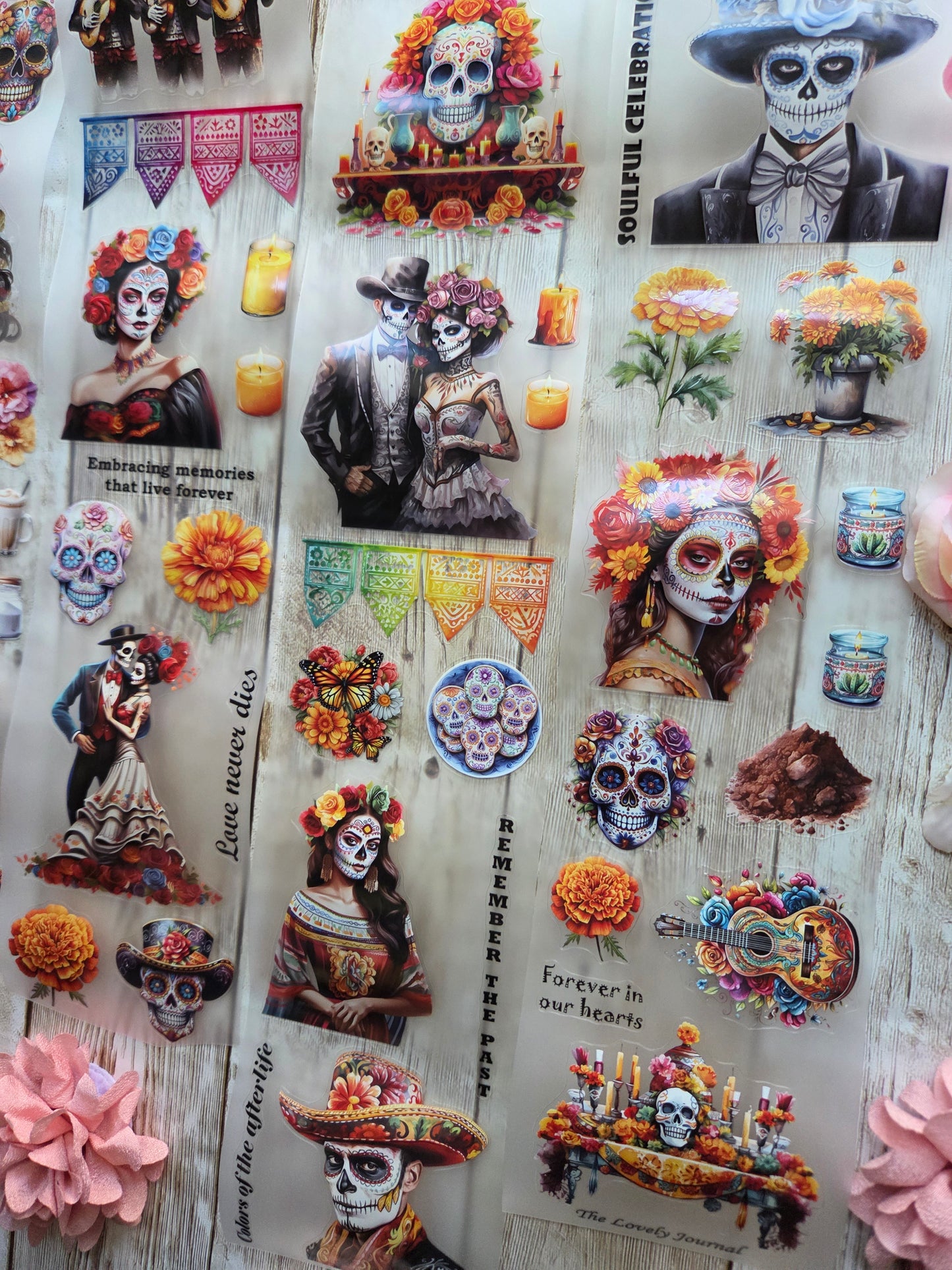 Day Of The Dead - PET Tape Sample Loop (Reggie)