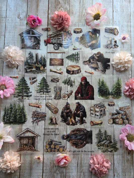 Lumberjack - PET Tape Sample Loop (Reggie)