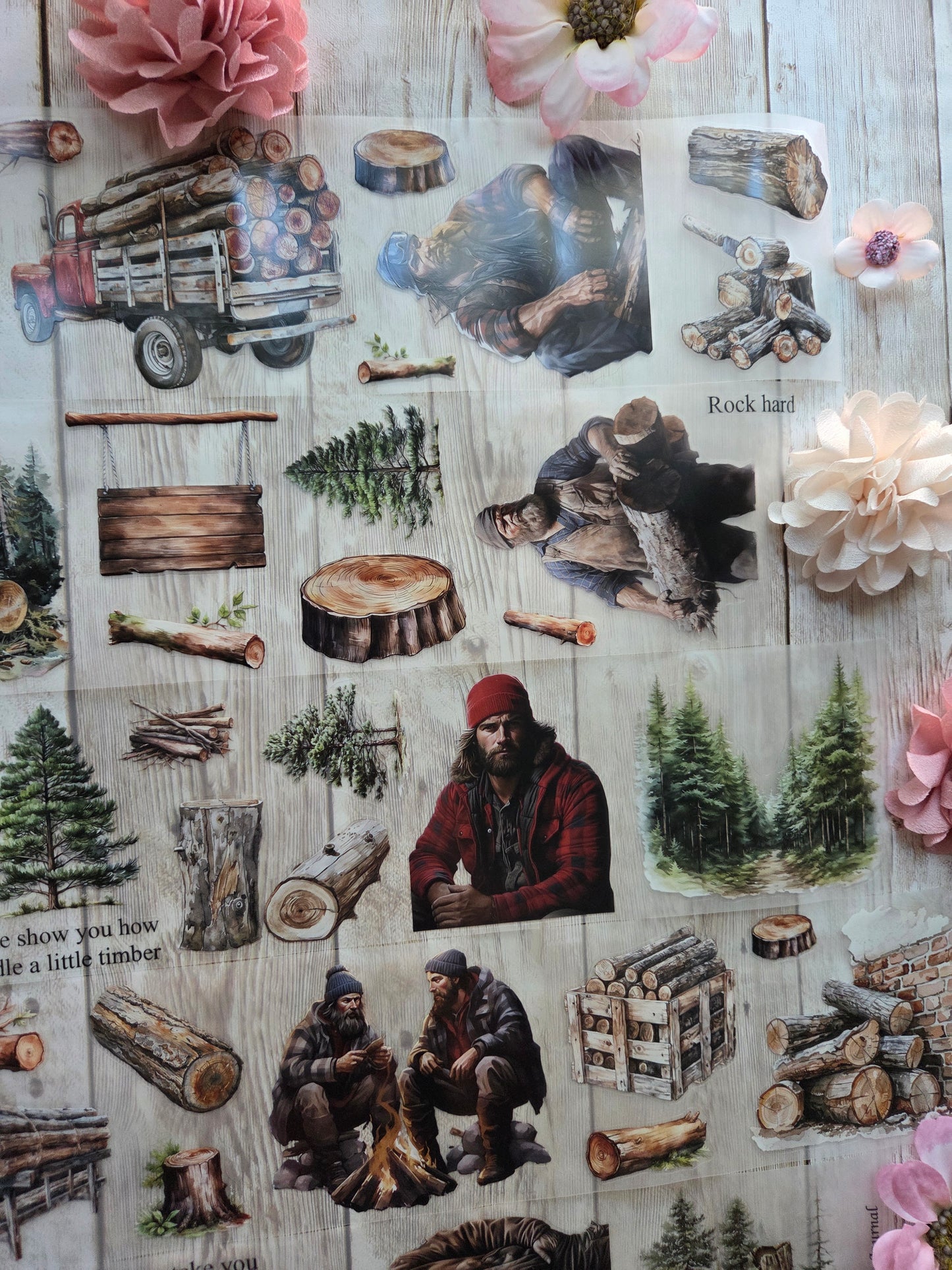 Lumberjack - PET Tape Sample Loop (Reggie)