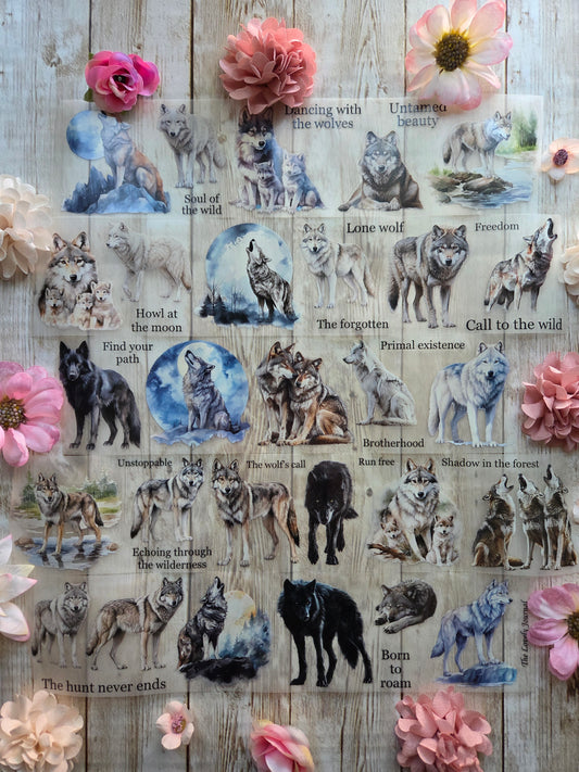 Wolves - PET Tape Sample Loop (Reggie)