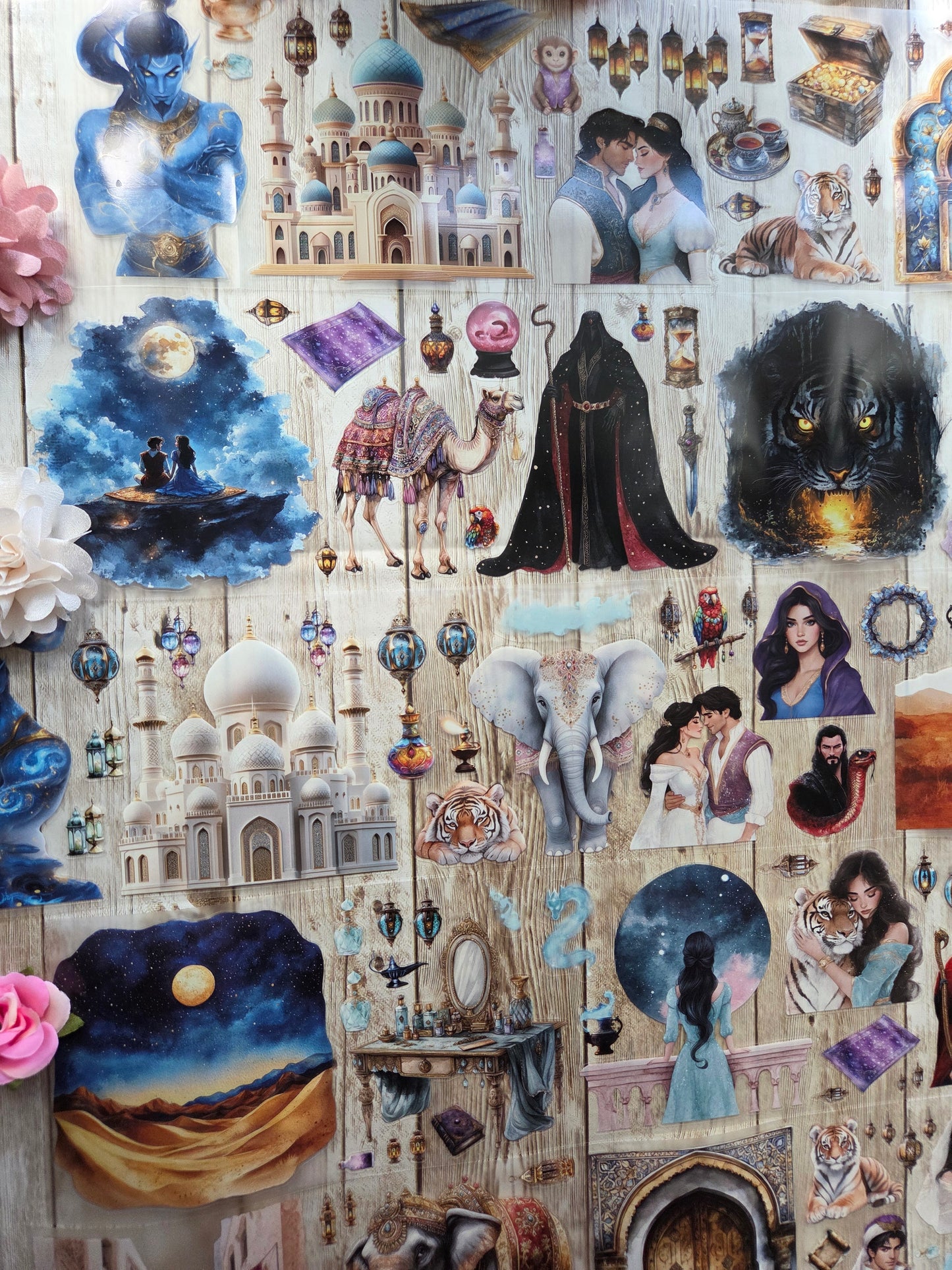 Aladdin - PET Tape Sample Loop (Biggie)