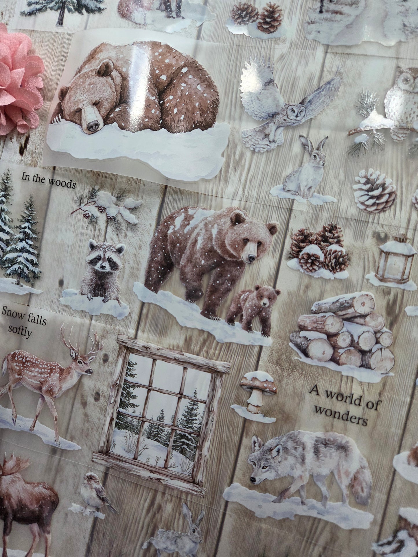 Winter Animals - PET Tape Sample Loop (Reggie)