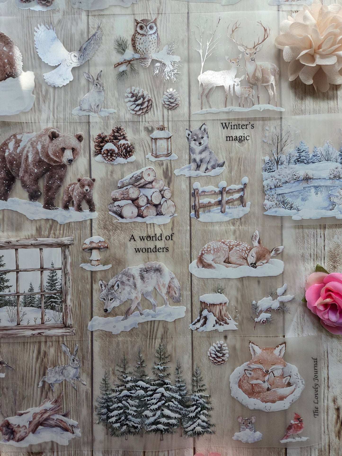 Winter Animals - PET Tape Sample Loop (Reggie)