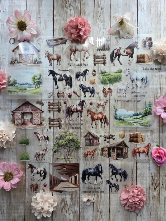 Wild Horses - PET Tape Sample Loop (Reggie)