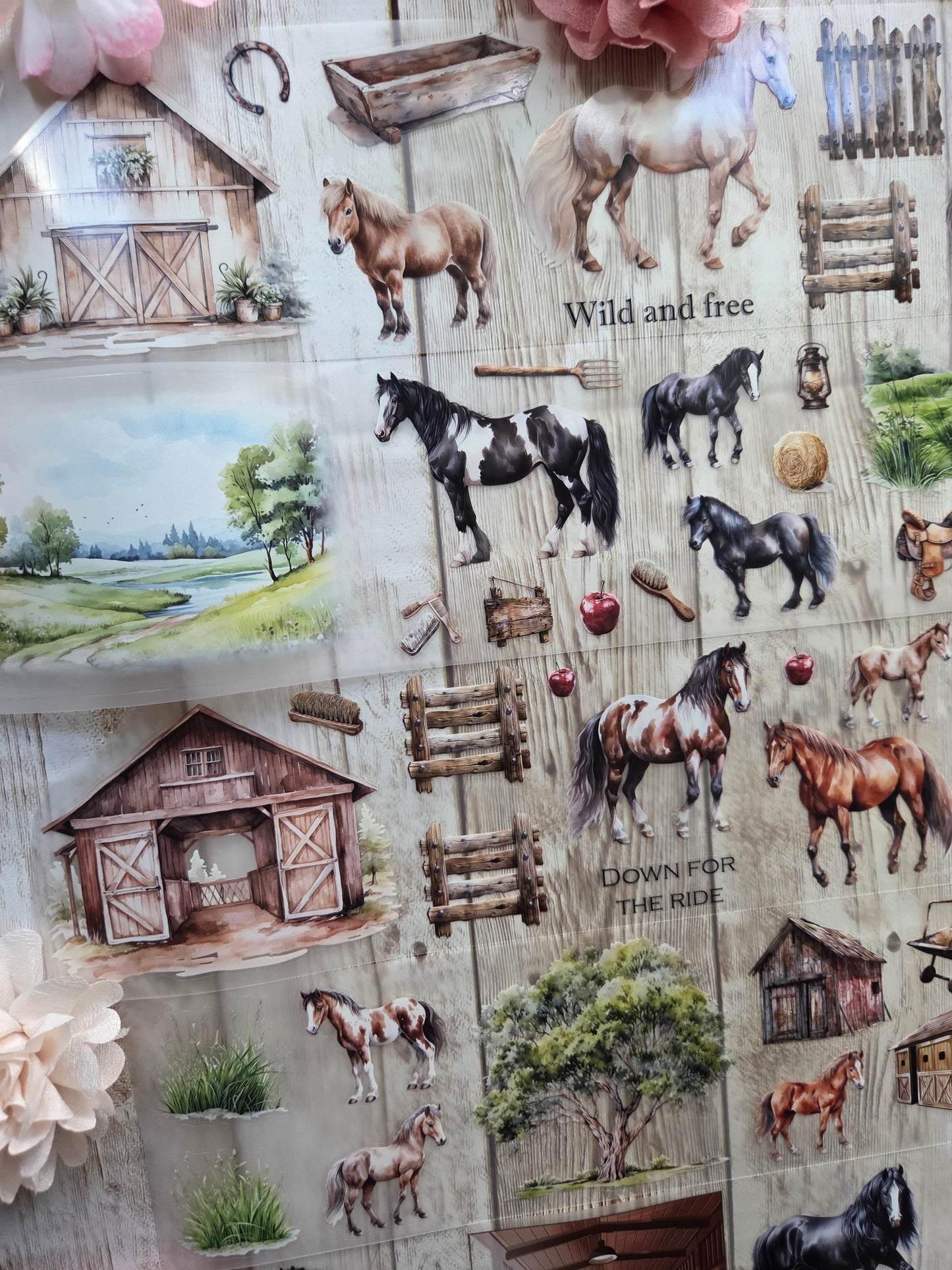 Wild Horses - PET Tape Sample Loop (Reggie)