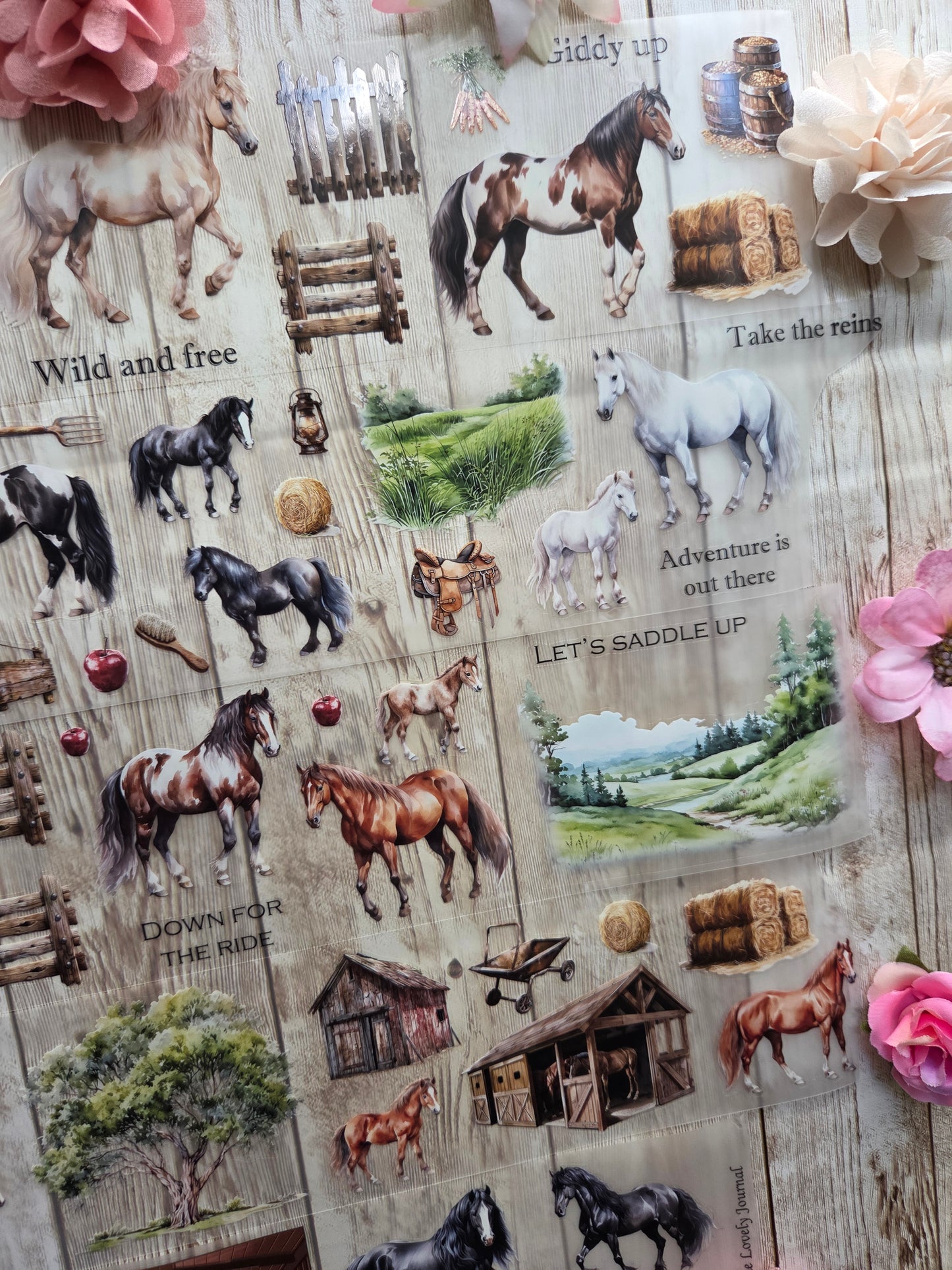 Wild Horses - PET Tape Sample Loop (Reggie)