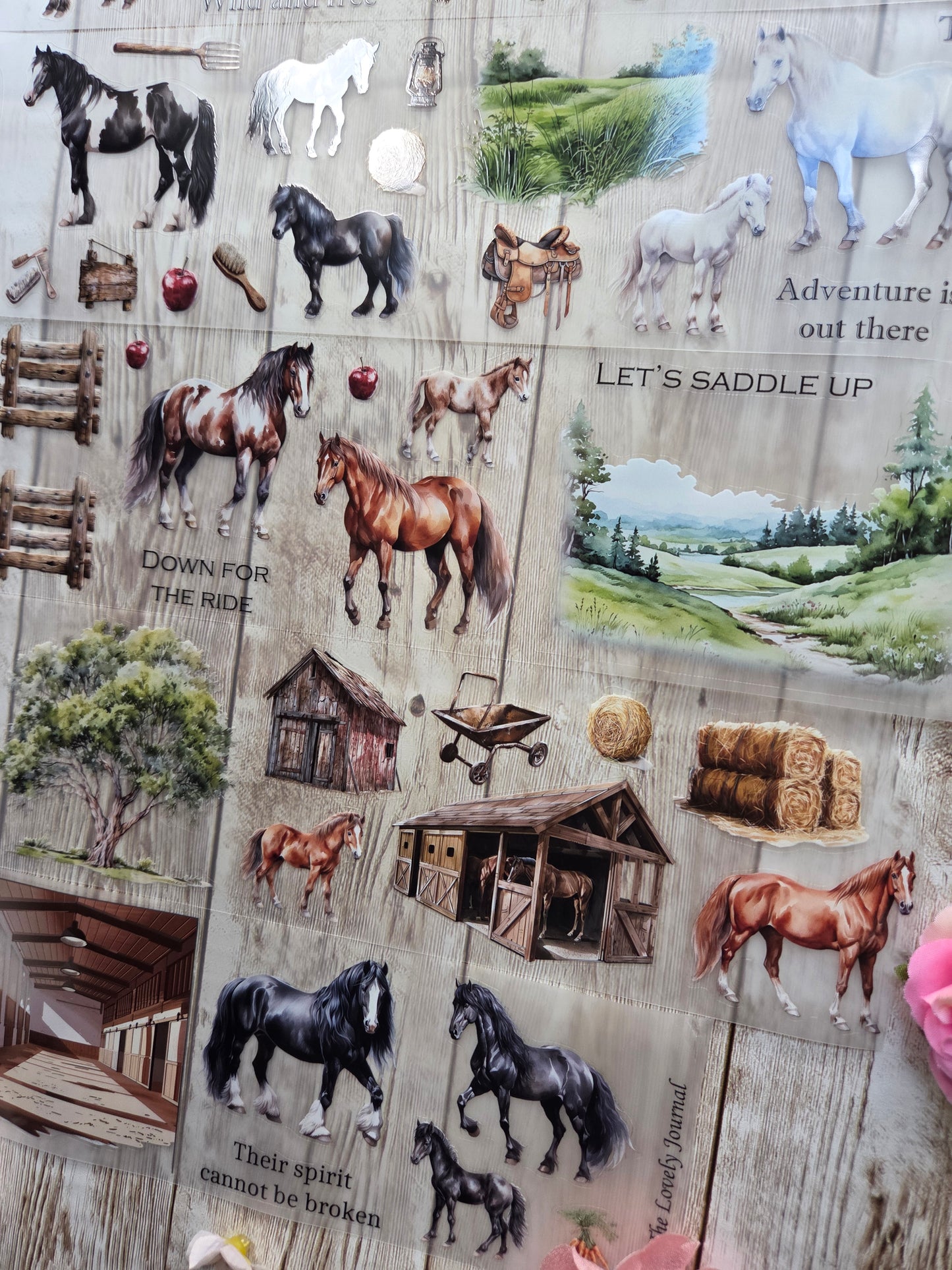 Wild Horses - PET Tape Sample Loop (Reggie)