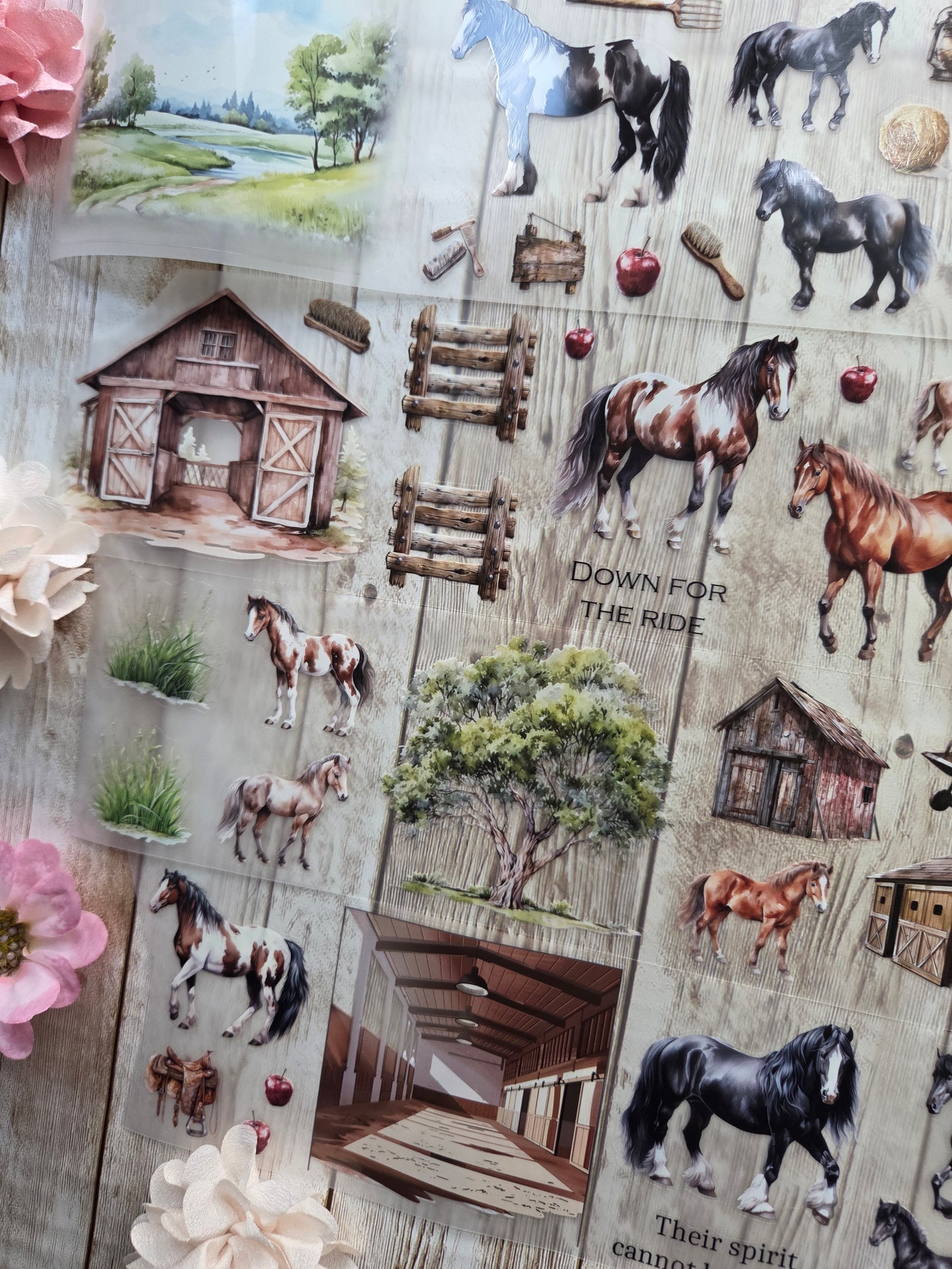 Wild Horses - PET Tape Sample Loop (Reggie)