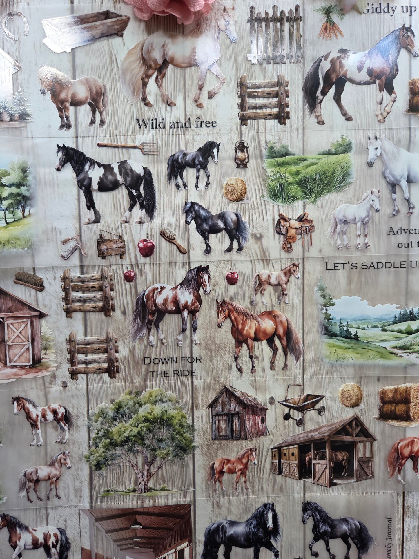 Wild Horses - PET Tape Sample Loop (Reggie)