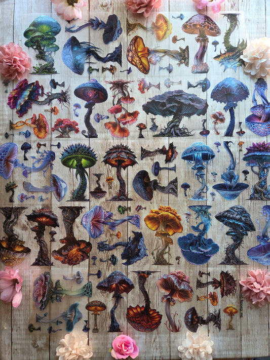 Big Mushrooms - PET Tape Sample Loop (Biggie)