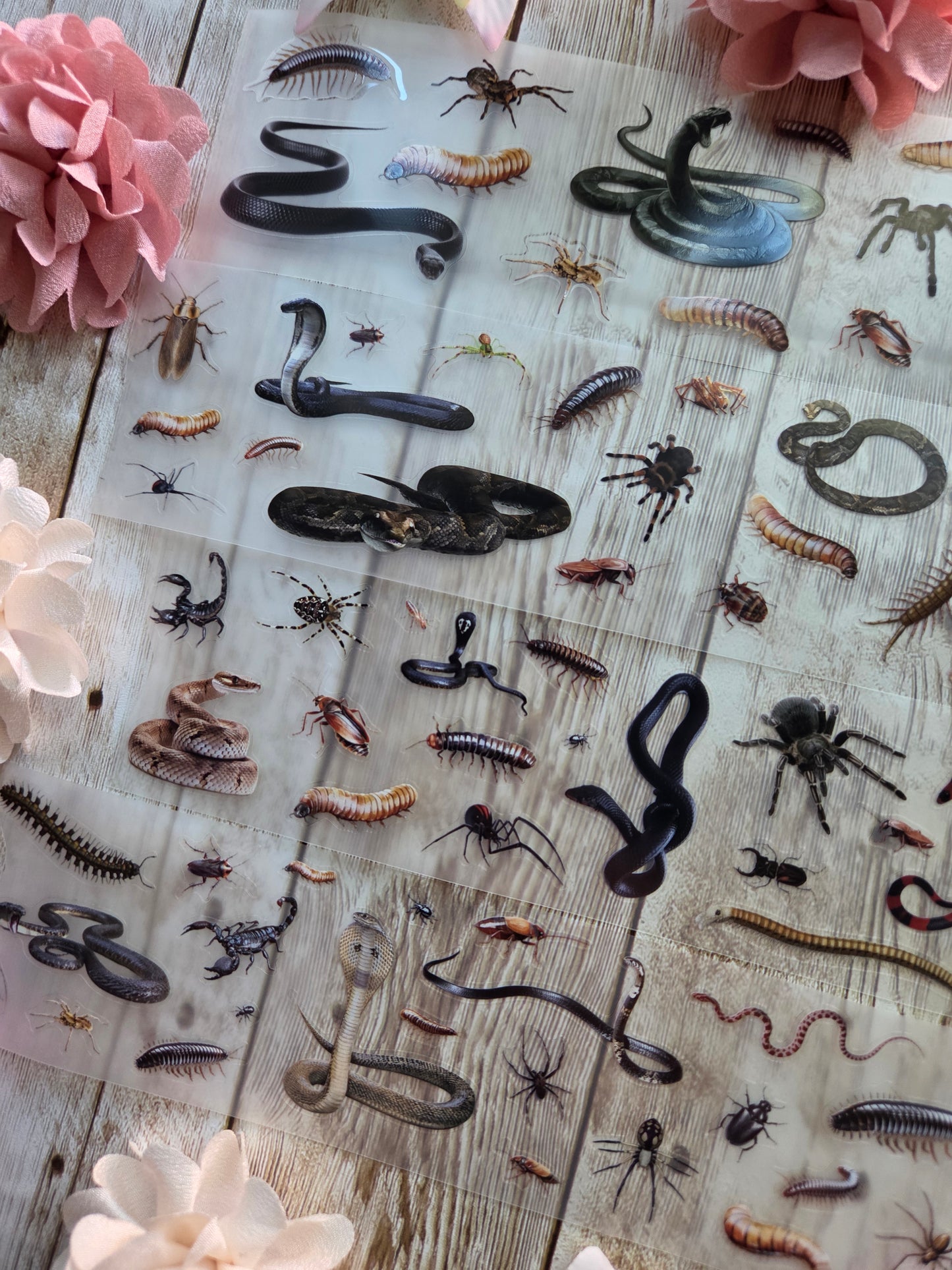 Creepy Crawlies - PET Tape Sample Loop (Mini)