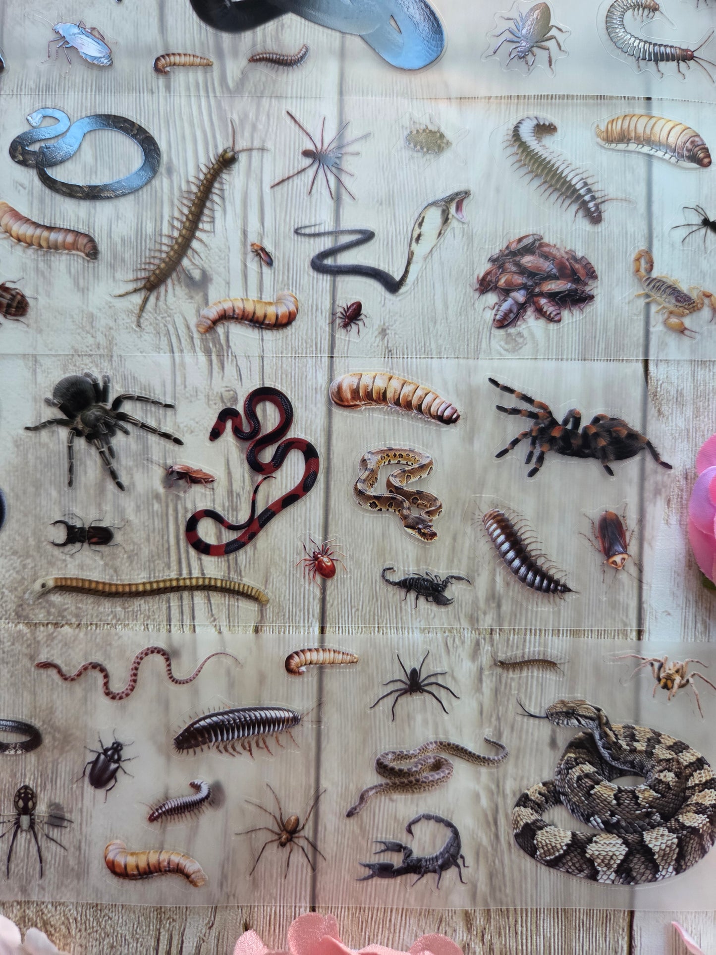 Creepy Crawlies - PET Tape Sample Loop (Mini)