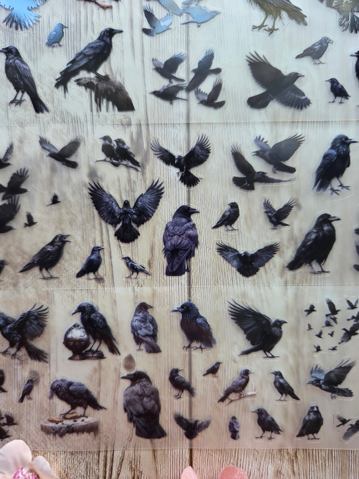 Crows - PET Tape Sample Loop (Mini)