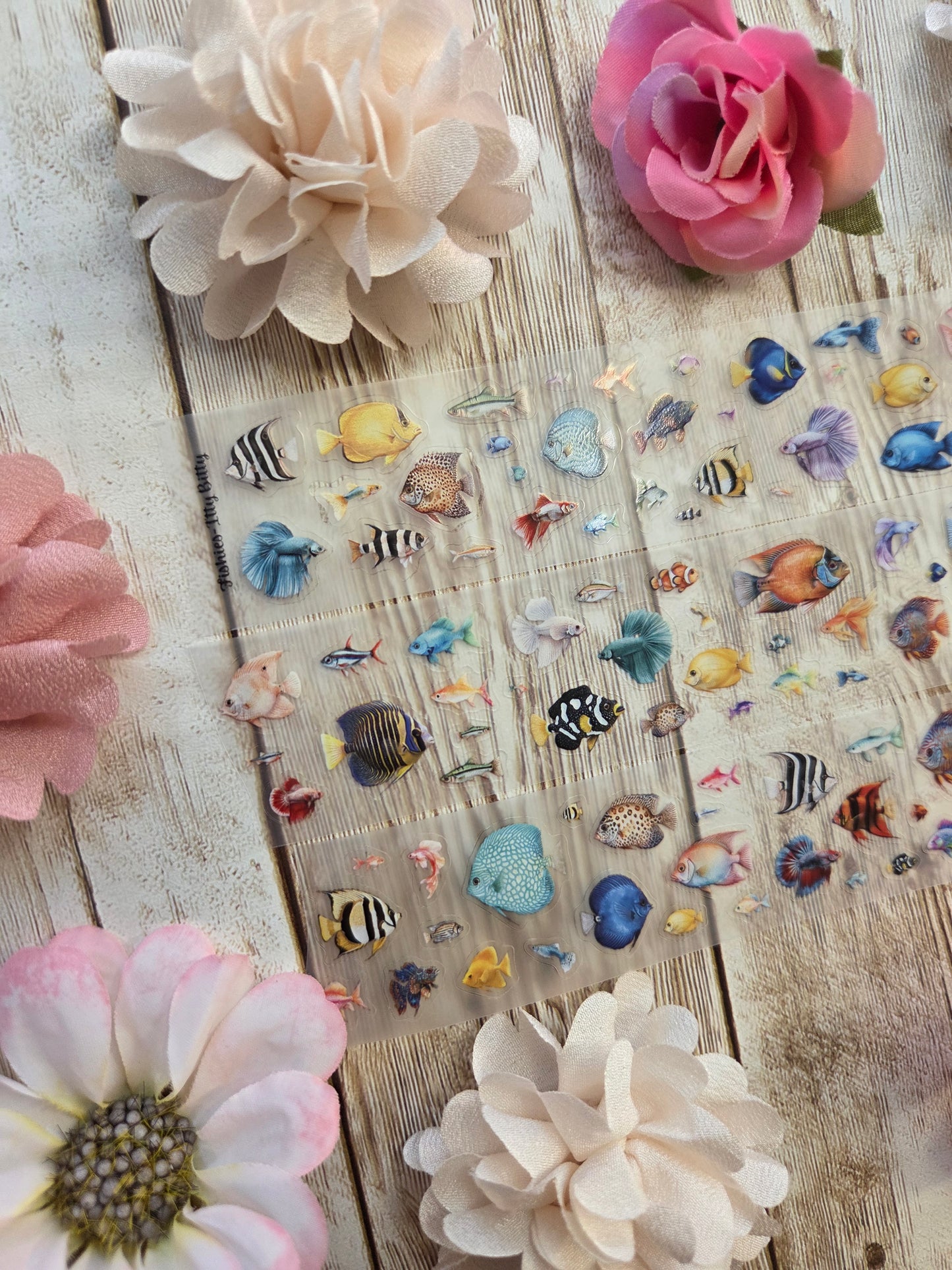 Fishies - PET Tape Sample Loop (Itty Bitty)