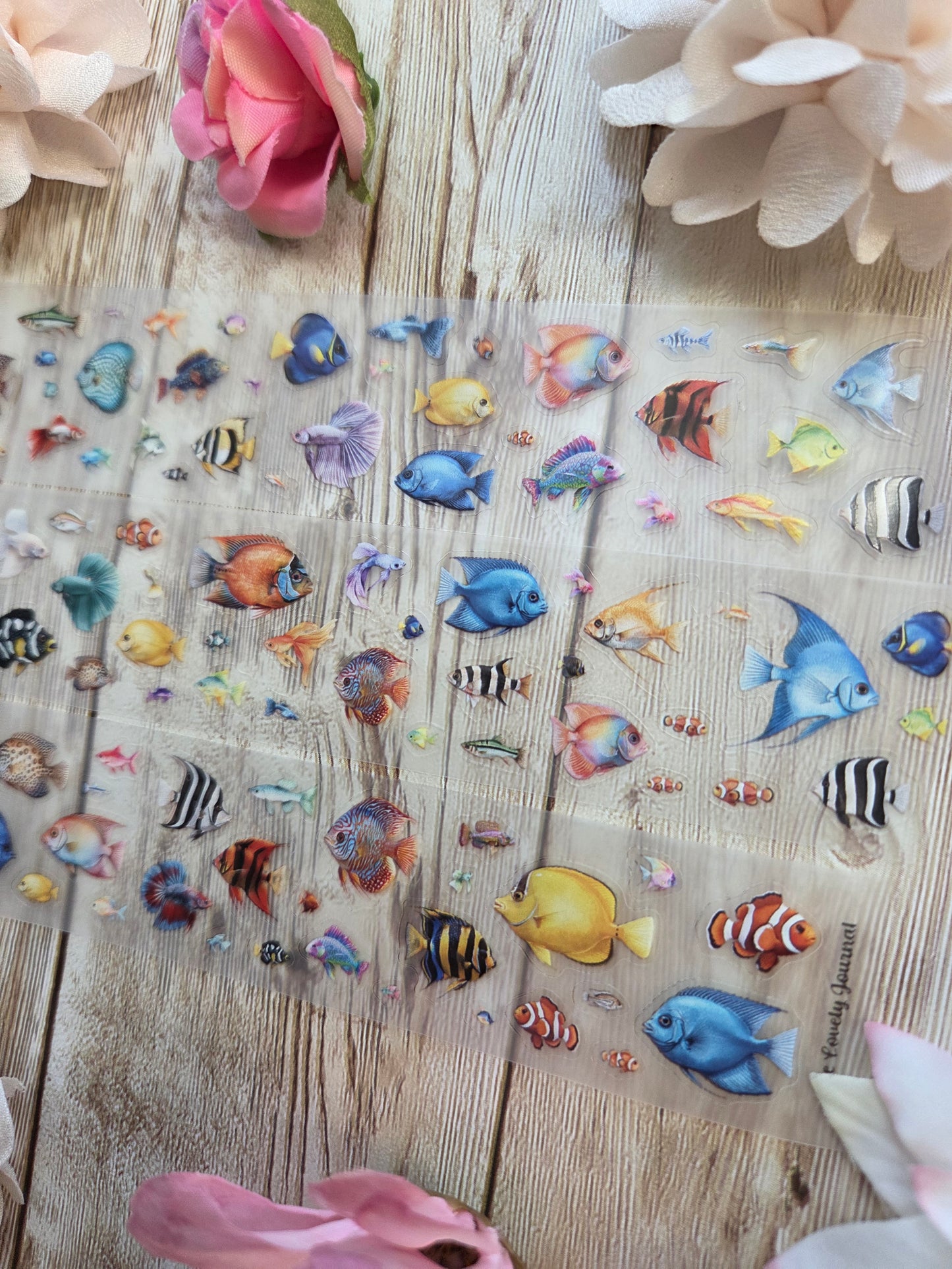 Fishies - PET Tape Sample Loop (Itty Bitty)