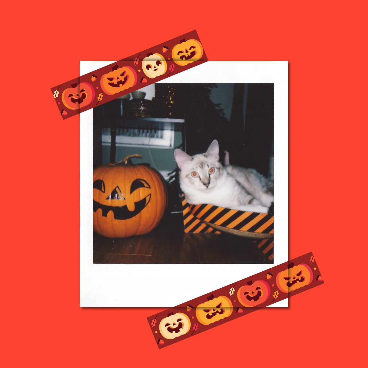 "Spunky Pumpkins" Cute Halloween Jack-o'-Lantern Washi Tape