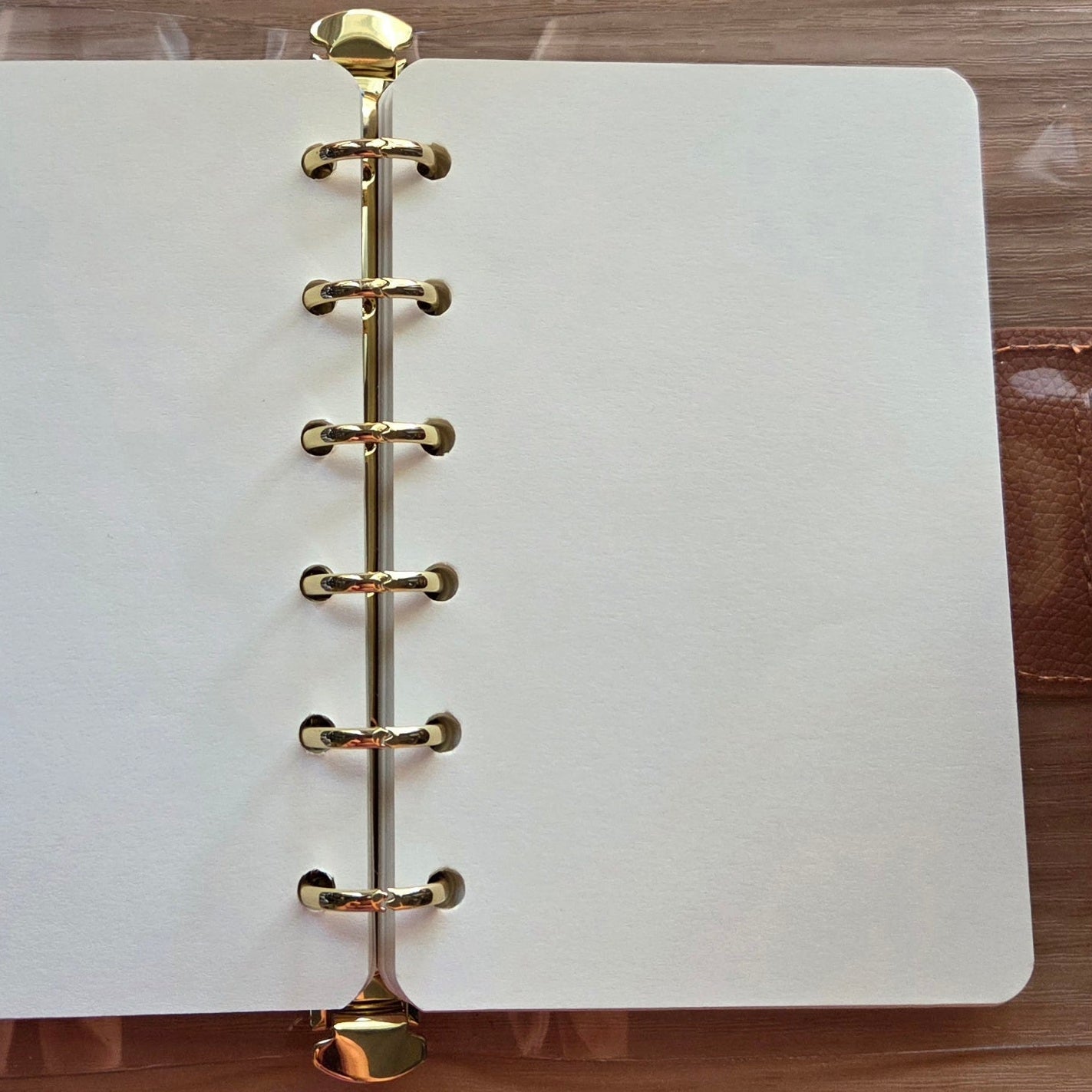 Mini Clear Loose Leaf Journal
