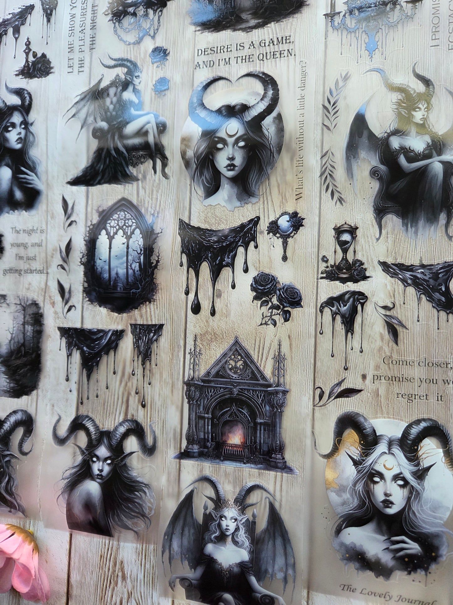 Succubus - PET Tape Sample Loop (Reggie)