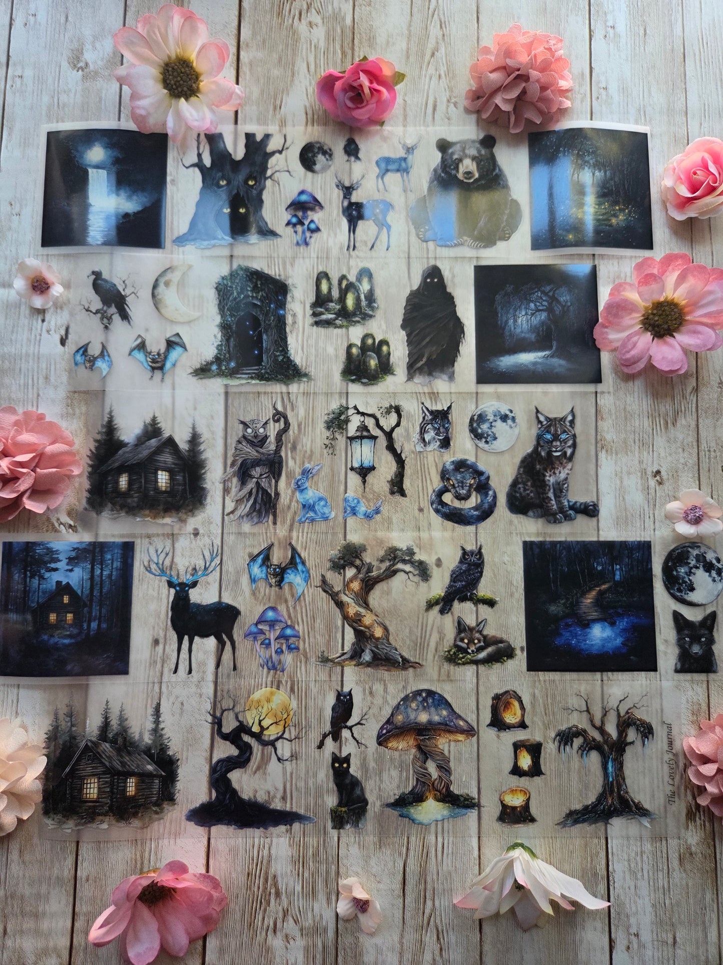 Haunted Animals - PET Tape Sample Loop (Reggie)