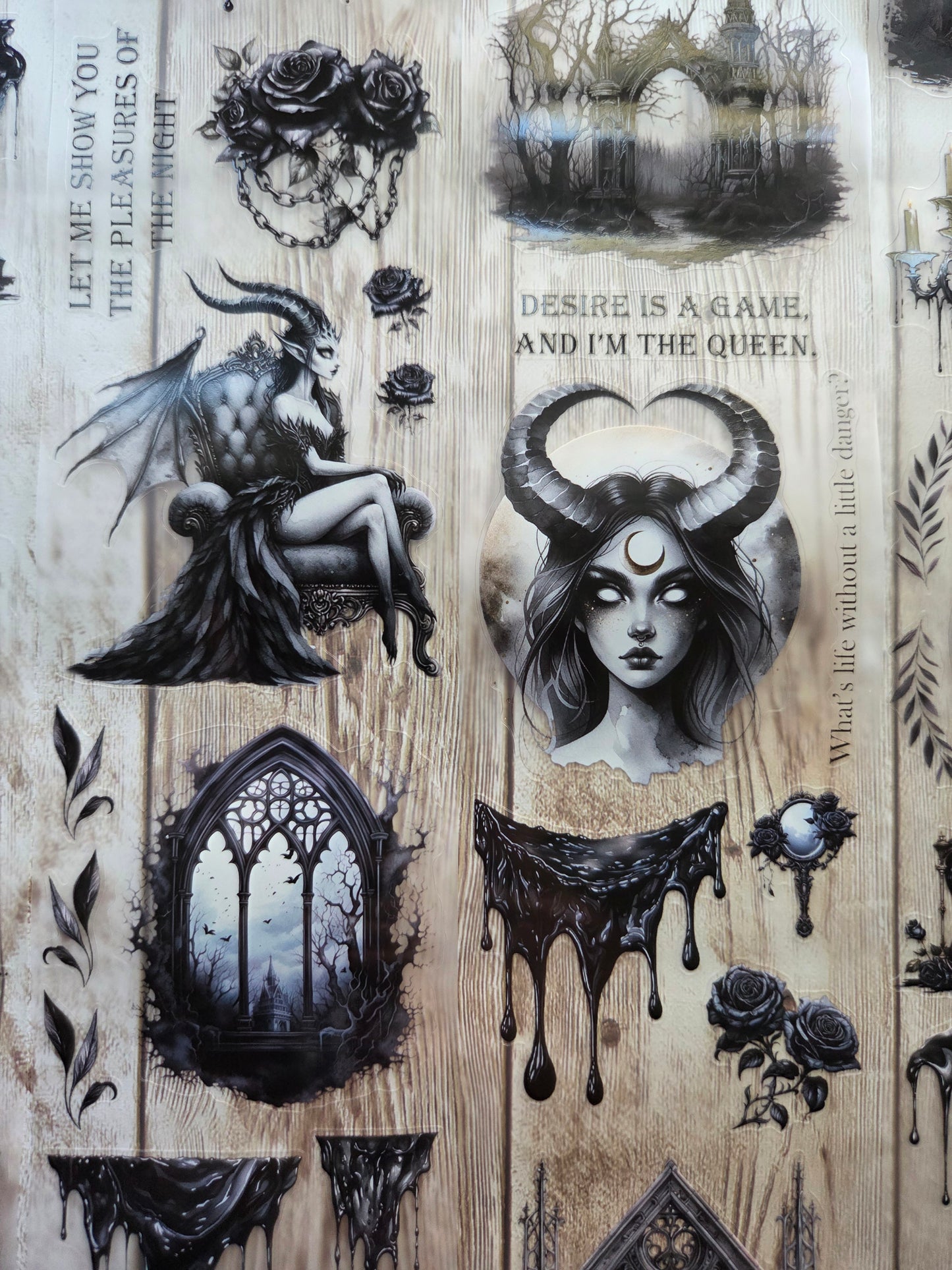 Succubus - PET Tape Sample Loop (Reggie)