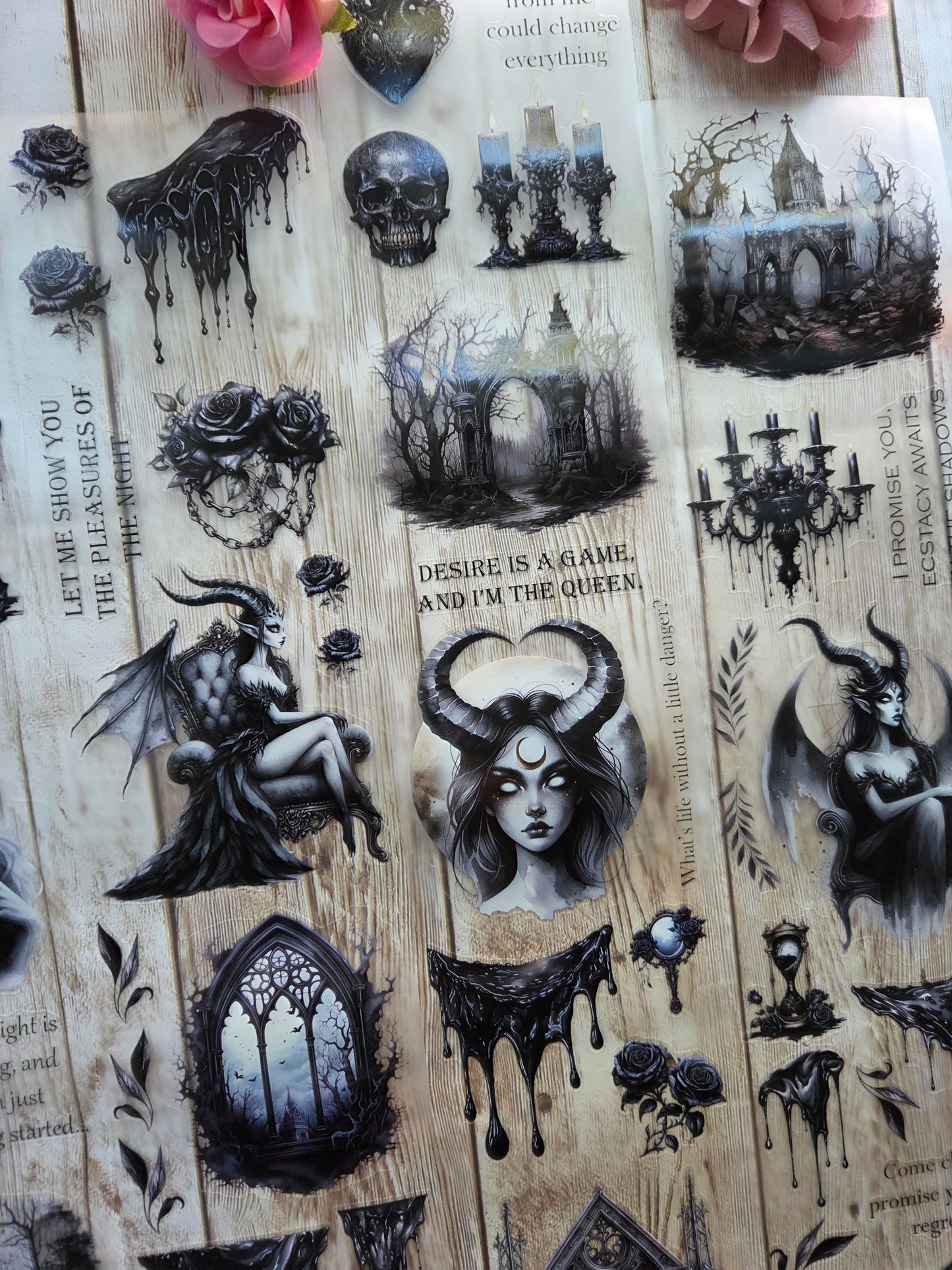 Succubus - PET Tape Sample Loop (Reggie)