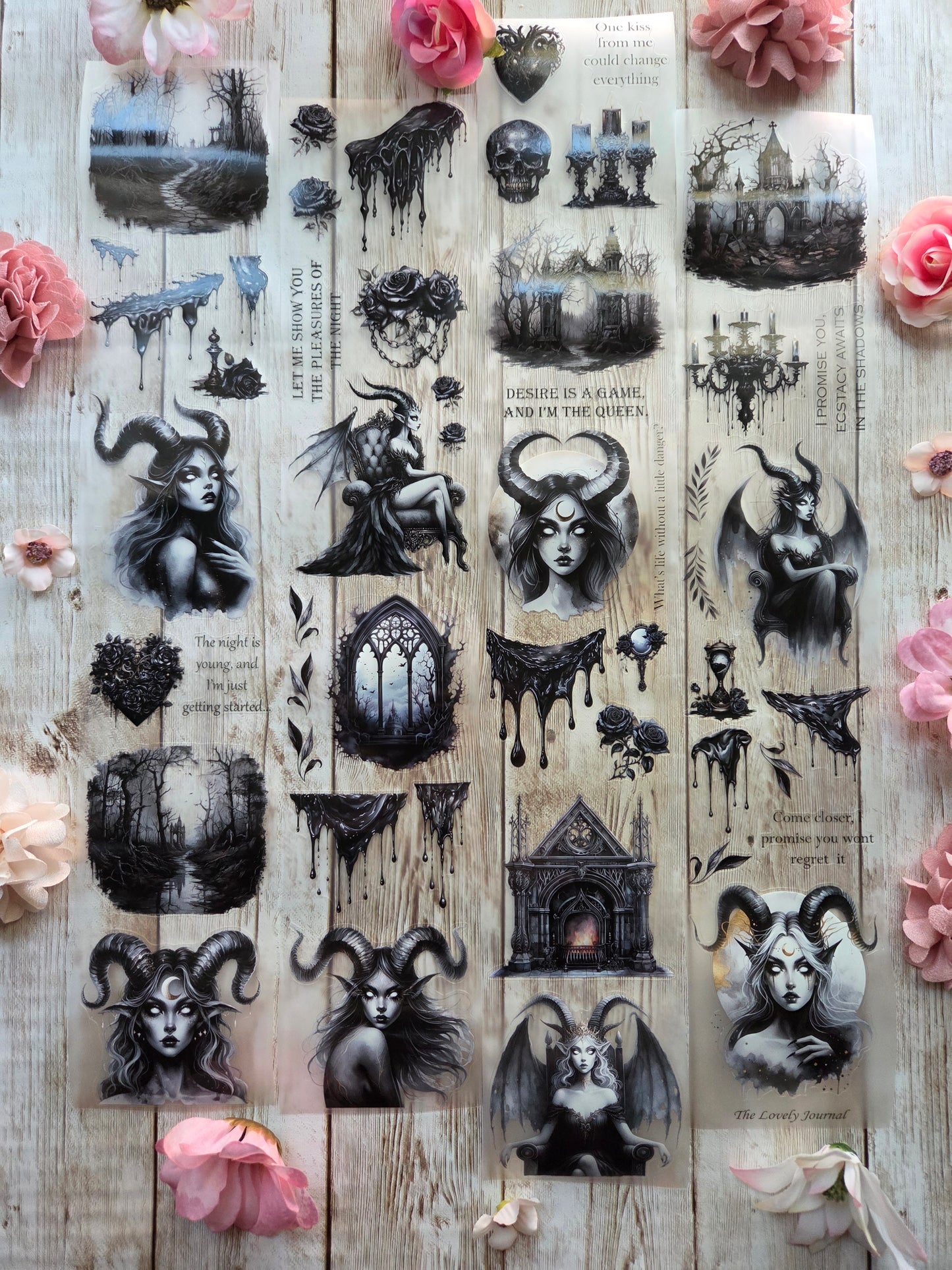 Succubus - PET Tape Sample Loop (Reggie)