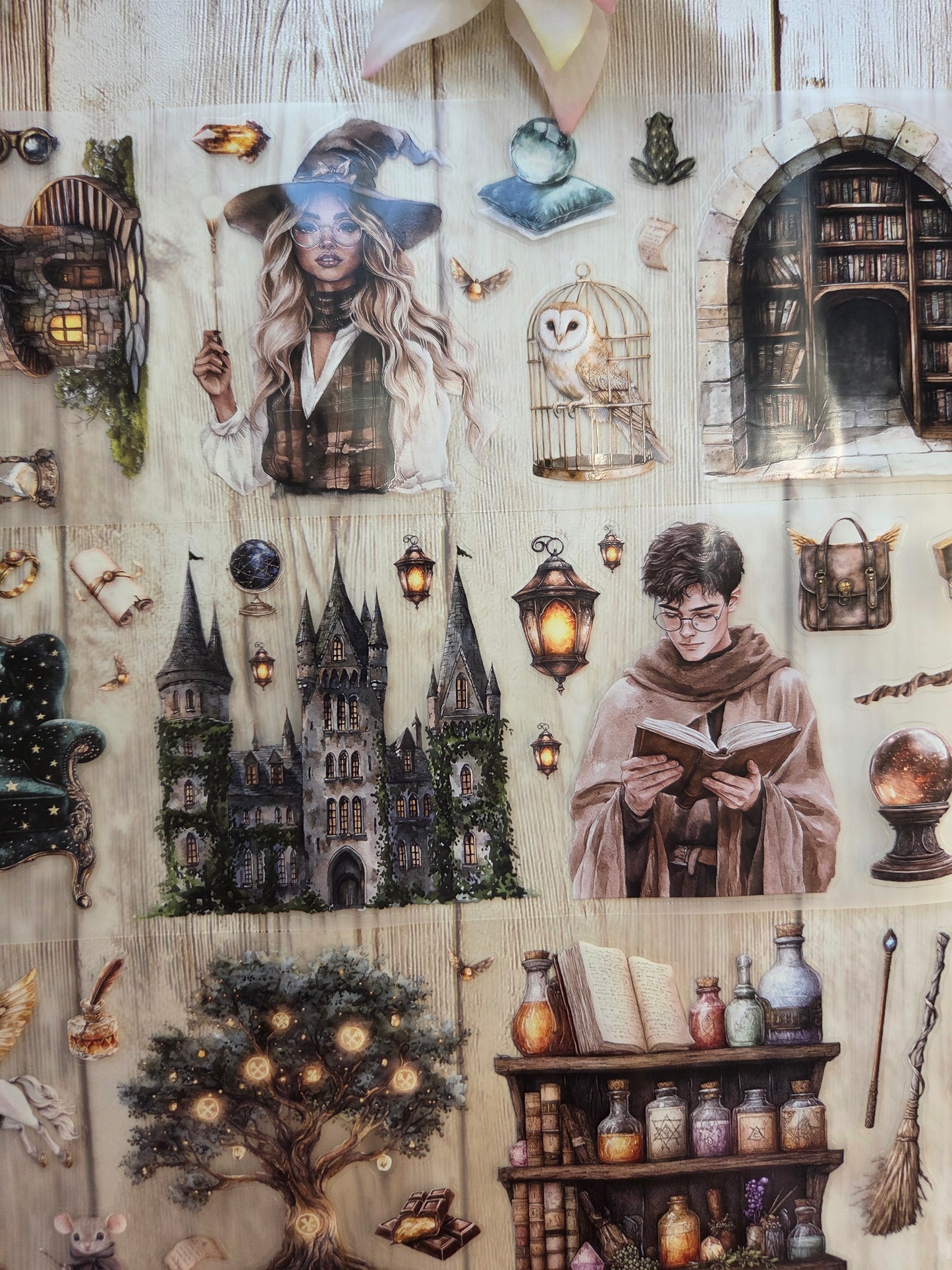 Wizarding World - PET Tape Sample Loop (Reggie)