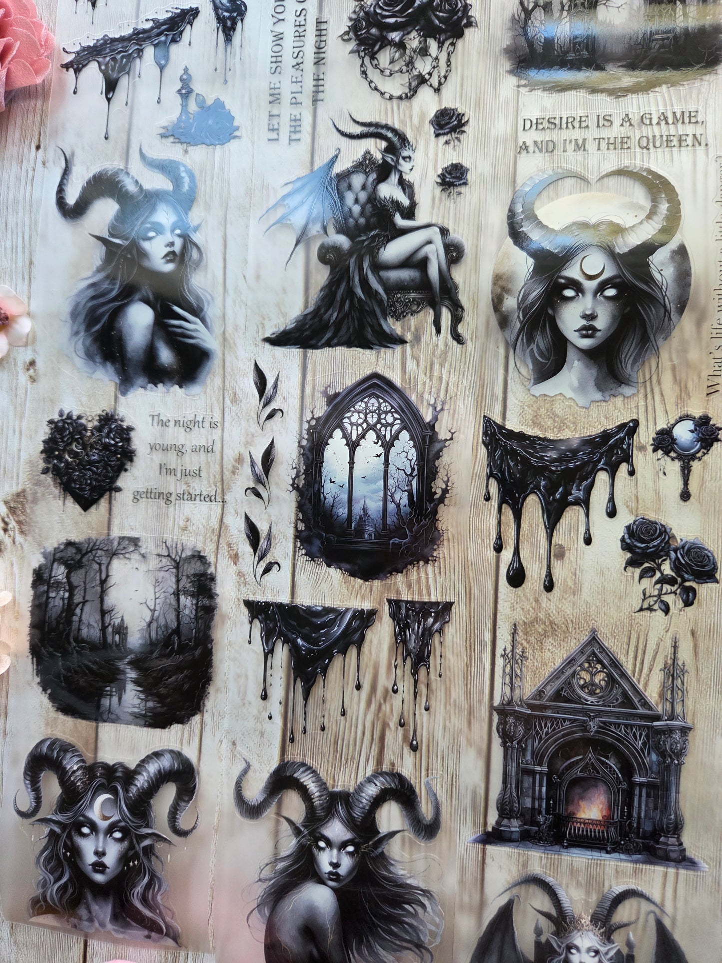 Succubus - PET Tape Sample Loop (Reggie)