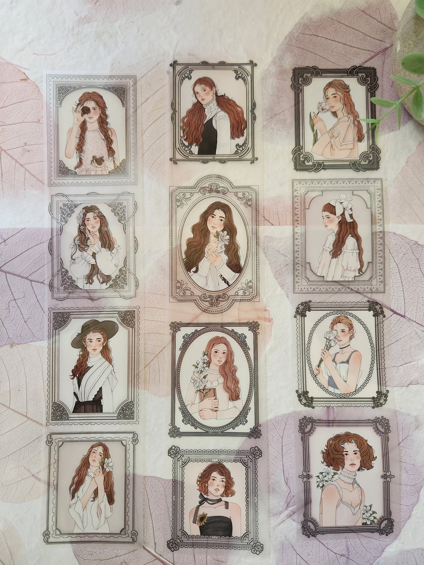 Beauty in Frames Pet Tape Sample Loop