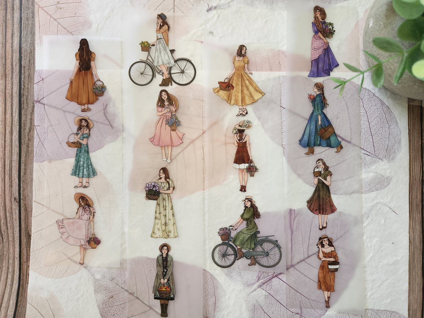 Basket Girls Pet Tape Sample Loop