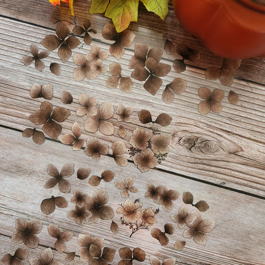 Hydrangeas Pet Tape Sample Loop